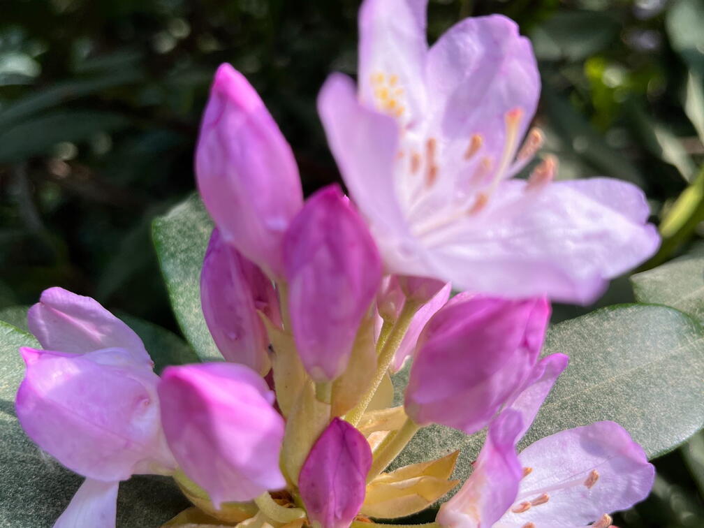 23-06-03 16-43-59 5793